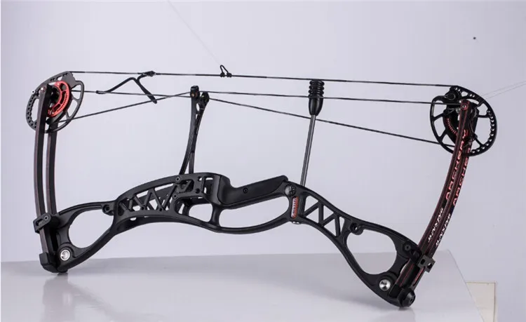 M122 Compound Bow for Hunting  - Hunting Fishing Outdoor review and price