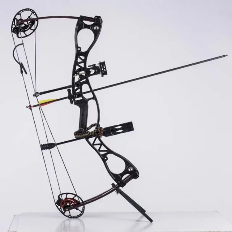 M122 Compound Bow for Hunting  - Hunting Fishing Outdoor review and price